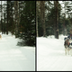 Illustration for article titled Where the Dogs Are: A Dogsledding Photo Diary